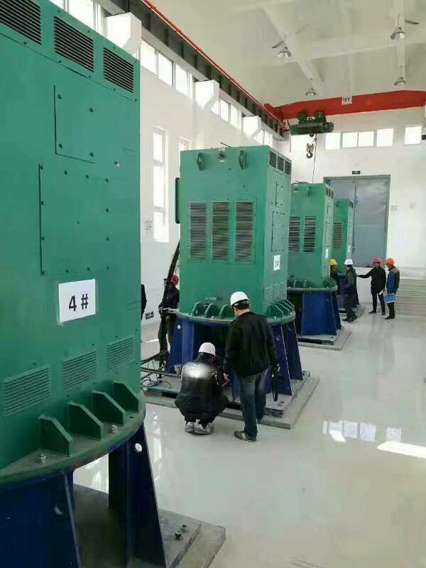 陇县某污水处理厂使用我厂的立式高压电机安装现场
